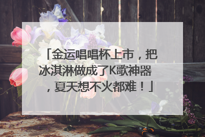 金运唱唱杯上市，把冰淇淋做成了K歌神器，夏天想不火都难！