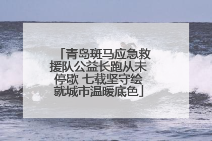 青岛斑马应急救援队公益长跑从未停歇 七载坚守绘就城市温暖底色