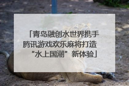 青岛融创水世界携手腾讯游戏欢乐麻将打造“水上国潮”新体验