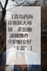 青岛西海岸新区大场镇：麦浪翻滚穗飘香 守护粮安好“丰景”