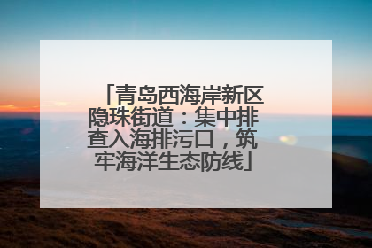 青岛西海岸新区隐珠街道：集中排查入海排污口，筑牢海洋生态防线