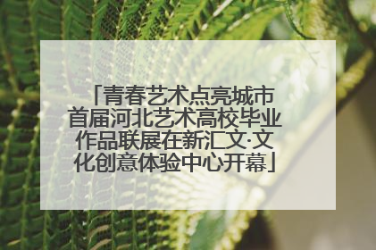 青春艺术点亮城市 首届河北艺术高校毕业作品联展在新汇文·文化创意体验中心开幕