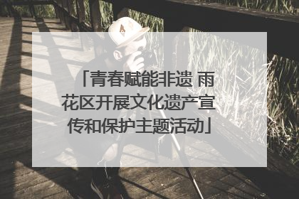青春赋能非遗 雨花区开展文化遗产宣传和保护主题活动