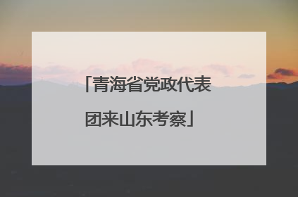 青海省党政代表团来山东考察