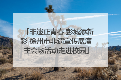 非遗正青春 彭城添新彩 徐州市非遗宣传展演主会场活动走进校园