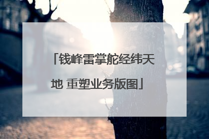 钱峰雷掌舵经纬天地 重塑业务版图