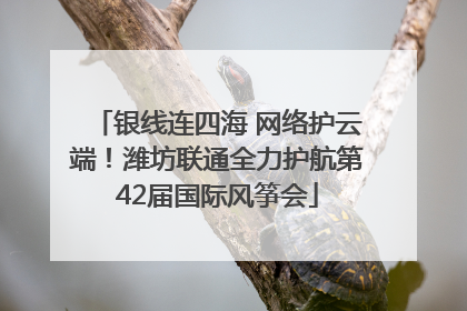 银线连四海 网络护云端！潍坊联通全力护航第42届国际风筝会