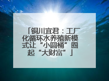 铜川宜君：工厂化循环水养殖新模式让“小圆桶”圈起“大财富”