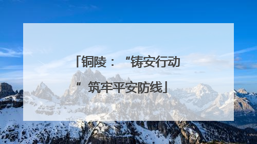 铜陵：“铸安行动”筑牢平安防线