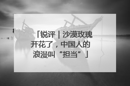 锐评｜沙漠玫瑰开花了，中国人的浪漫叫“担当”