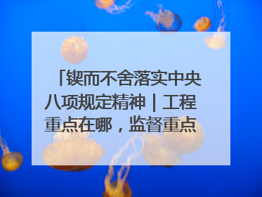 锲而不舍落实中央八项规定精神｜工程重点在哪，监督重点就在哪——广西深化政治监督护航平陆运河建设