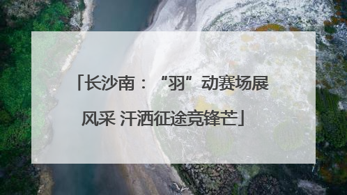 长沙南：“羽”动赛场展风采 汗洒征途竞锋芒