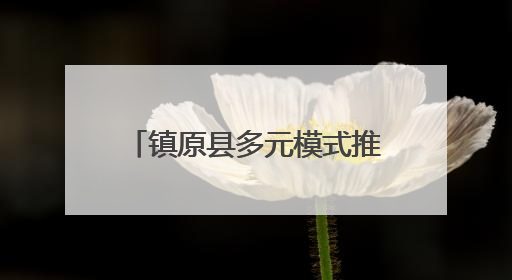 镇原县多元模式推动农文旅融合发展