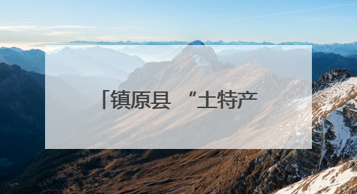 镇原县 “土特产”变“金招牌”