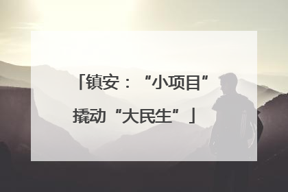 镇安：“小项目”撬动“大民生”