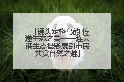 镜头定格鸟韵 传递生态之美——连云港生态摄影展引市民共赏自然之魅