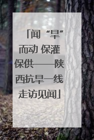 闻“旱”而动 保灌保供——陕西抗旱一线走访见闻
