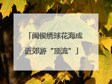 闽侯绣球花海成近郊游“顶流”