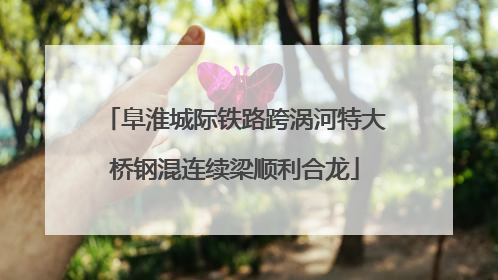 阜淮城际铁路跨涡河特大桥钢混连续梁顺利合龙