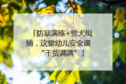 防暴演练+警犬缉捕，这堂幼儿安全课“干货满满”