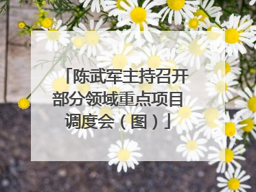 陈武军主持召开部分领域重点项目调度会（图）