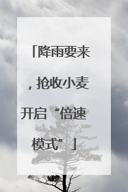 降雨要来，抢收小麦开启“倍速模式”