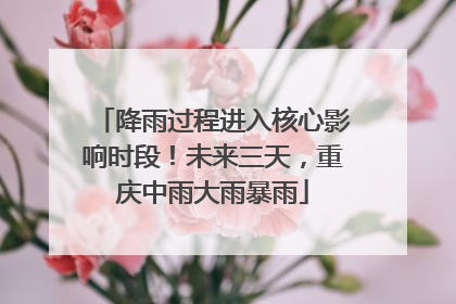 降雨过程进入核心影响时段！未来三天，重庆中雨大雨暴雨