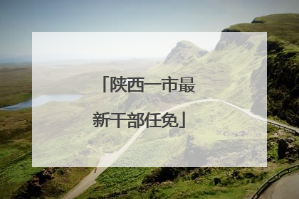 陕西一市最新干部任免