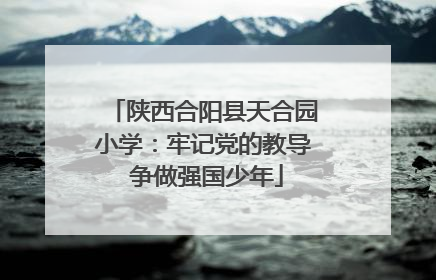 陕西合阳县天合园小学：牢记党的教导 争做强国少年