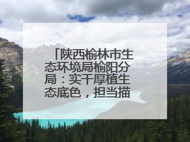 陕西榆林市生态环境局榆阳分局：实干厚植生态底色，担当描绘绿色答卷