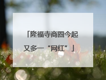隆福寺商圈今起又多一“网红”