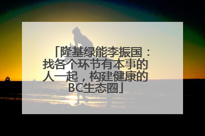 隆基绿能李振国：找各个环节有本事的人一起，构建健康的BC生态圈