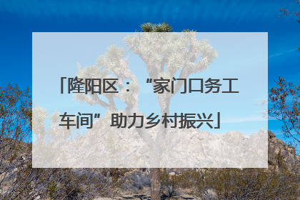隆阳区：“家门口务工车间”助力乡村振兴