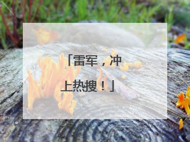雷军，冲上热搜！