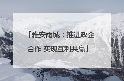 雅安雨城：推进政企合作 实现互利共赢