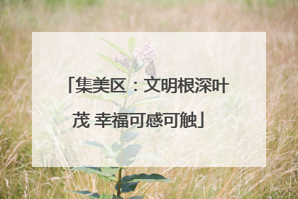 集美区：文明根深叶茂 幸福可感可触