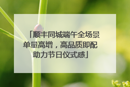 顺丰同城端午全场景单量高增，高品质即配助力节日仪式感