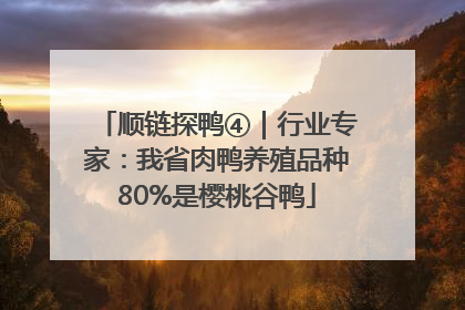顺链探鸭④｜行业专家：我省肉鸭养殖品种80%是樱桃谷鸭