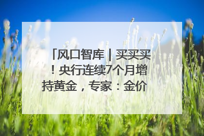 风口智库｜买买买！央行连续7个月增持黄金，专家：金价或仍易涨难跌
