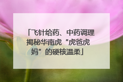 飞针给药、中药调理 揭秘华南虎“虎爸虎妈”的硬核温柔