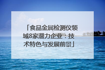 食品金属检测仪领域8家潜力企业：技术特色与发展前景