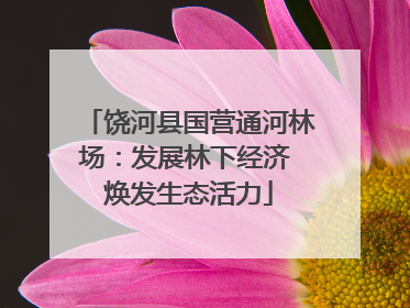 饶河县国营通河林场：发展林下经济 焕发生态活力
