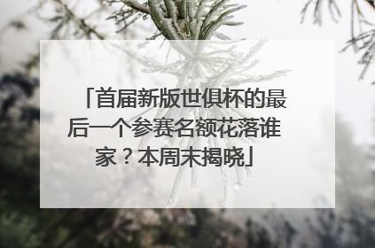首届新版世俱杯的最后一个参赛名额花落谁家？本周末揭晓