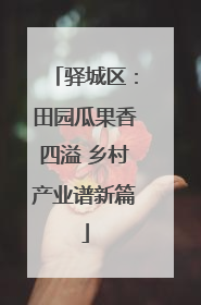 驿城区：田园瓜果香四溢 乡村产业谱新篇
