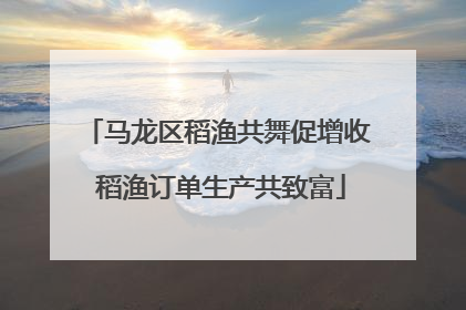 马龙区稻渔共舞促增收 稻渔订单生产共致富