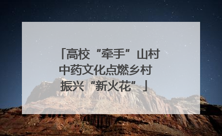 高校“牵手”山村 中药文化点燃乡村振兴“新火花”
