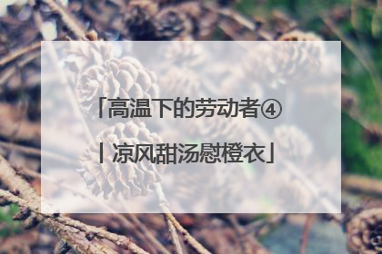 高温下的劳动者④丨凉风甜汤慰橙衣