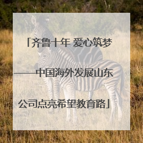 齐鲁十年 爱心筑梦——中国海外发展山东公司点亮希望教育路