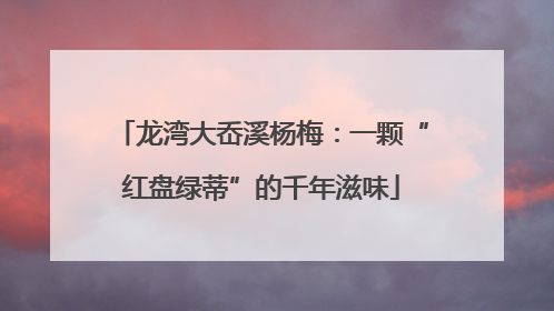 龙湾大岙溪杨梅：一颗“红盘绿蒂”的千年滋味
