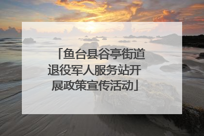 鱼台县谷亭街道退役军人服务站开展政策宣传活动